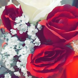 Meet your Posher, Regina